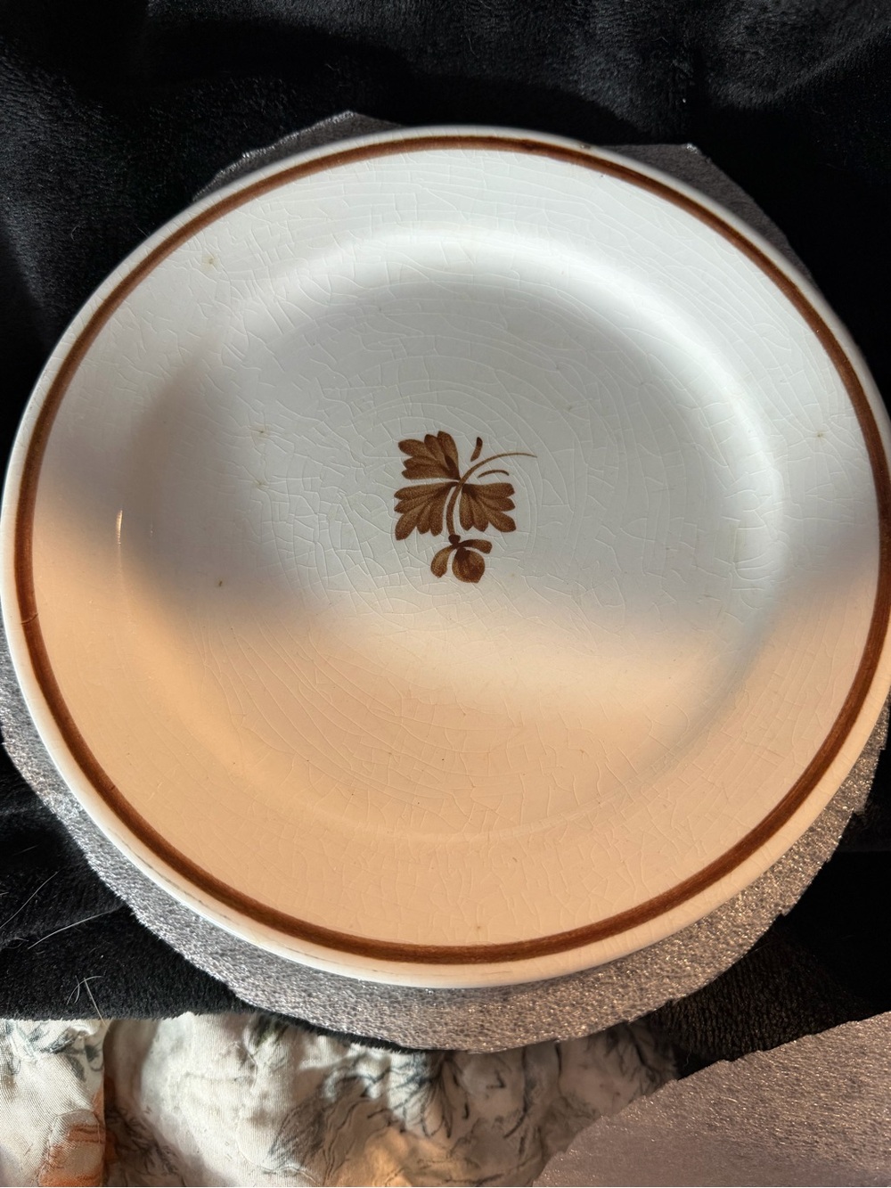 2 Dinner Plate w/Brown Leaf Accent - Royal Ironstone China Alfred Meakin England